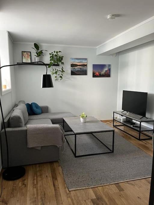 טרומסה Cozy Ground Floor Apartment מראה חיצוני תמונה